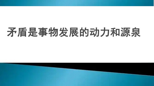 专业网站设计公司 逸网恒信
